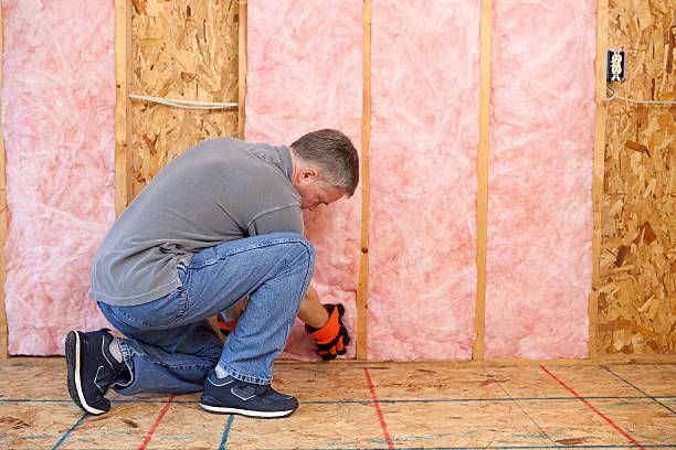 Best Insulation Contractor Near Me  in Weyers Cave, VA