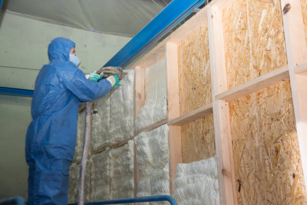 Insulation Replacement Services in Weyers Cave, VA
