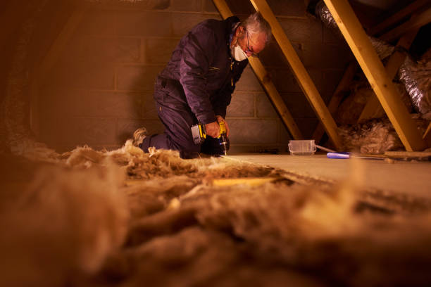 Best Residential Insulation Services  in Weyers Cave, VA