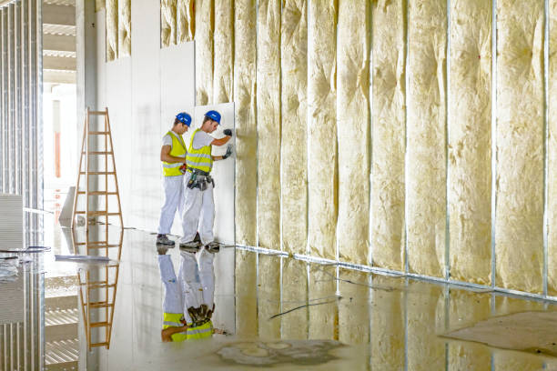 Best Insulation Repair Services  in Weyers Cave, VA